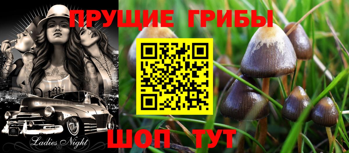 Семилуки  Галлюциногенные грибы ЛСД  Вход с VPN 