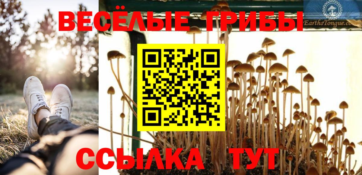 Псилоцибиновые грибы мицелий Семилуки